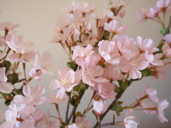 春運ぶ桜(L size♡) 水のいらない 高品質アートフラワー　桜 ミモザ 2枚目の画像