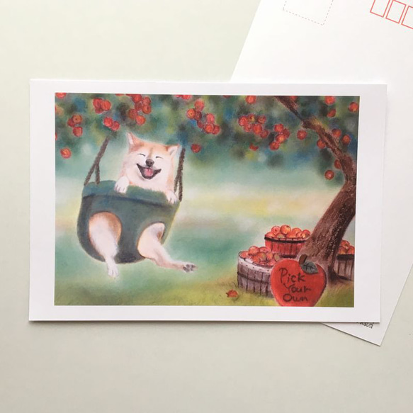 3９　選べるポストカード　りんご狩り　5枚セット 1枚目の画像