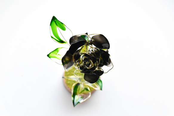 【植物標本 S】薔薇(ばら) -Charcoal- 9枚目の画像