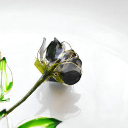 【植物標本 S】薔薇(ばら) -Charcoal- 13枚目の画像