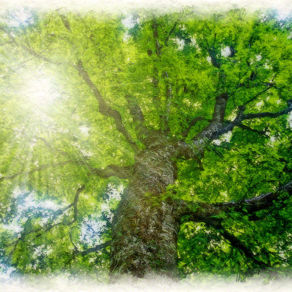 和紙の絵写真 額縁付き 「木漏れ日と新緑のブナの大木」 絵画 インテリア 玄関 風水 絵 風景画 版画 油絵 3枚目の画像