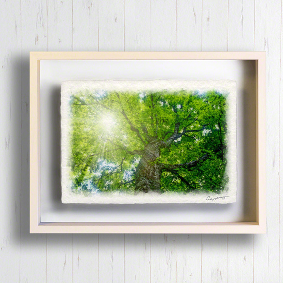 和紙の絵写真 額縁付き 「木漏れ日と新緑のブナの大木」 絵画 インテリア 玄関 風水 絵 風景画 版画 油絵 2枚目の画像