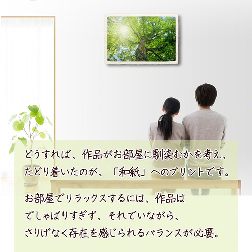 和紙の絵写真 額縁付き 「木漏れ日と新緑のブナの大木」 絵画