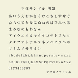 〖 耐水用 〗お名前シールブック 9枚目の画像