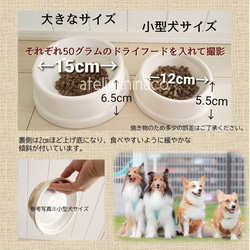 ロココなフードボウル☆小型犬さんサイズ 2枚目の画像