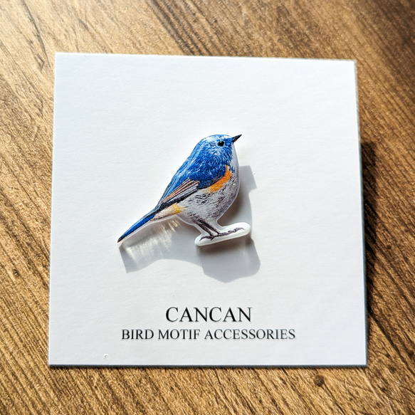 ルリビタキの樹脂ピンブローチ　幸せの青い鳥　野鳥 1枚目の画像