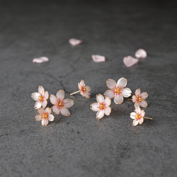 桜 －Cherry blossom－ 1枚目の画像