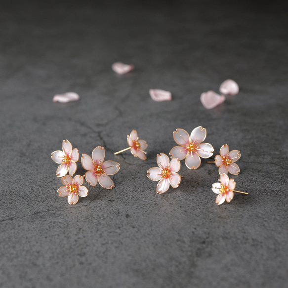 桜 －Cherry blossom－ 1枚目の画像