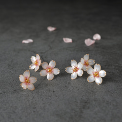 桜 －Cherry blossom－ 4枚目の画像