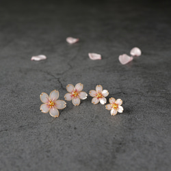 桜 ーCherry blossomー 3枚目の画像