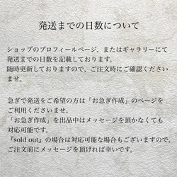 061 クリアブルーのべっ甲ネイルチップ 秋ネイル 冬ネイル ニュアンス べっ甲 ミラーネイル 個性派 大人ネイル 15枚目の画像