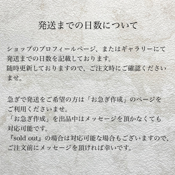 062 大人カラーのべっ甲ネイルチップ 秋ネイル 冬ネイル べっ甲 ニュアンス 個性派 大人ネイル 14枚目の画像