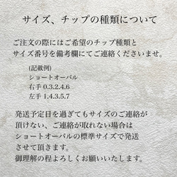 062 大人カラーのべっ甲ネイルチップ 秋ネイル 冬ネイル べっ甲 ニュアンス 個性派 大人ネイル 13枚目の画像