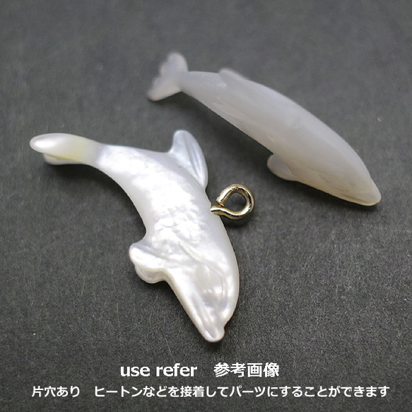 天然石零件貝殼/珍珠母海豚零件（3 件套）單穿孔 ti-pa-1037 第5張的照片