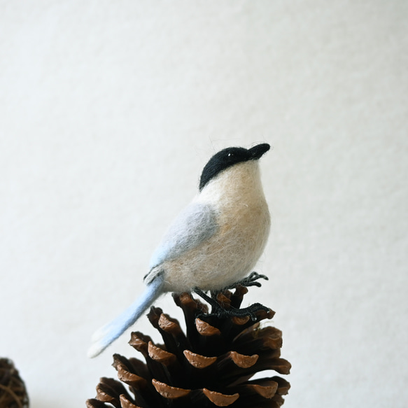 【受注後制作】羊毛フェルト 野鳥 小鳥 卓上マスコット オナガ 1枚目の画像