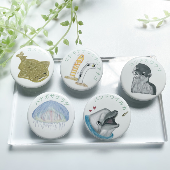色鉛筆で描く水族館 缶バッチ1 その他アクセサリー sekiの釣竿