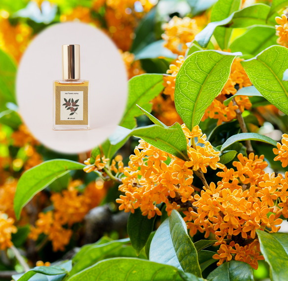 【改良】リアル金木犀15ml　生花の再現　生花のフレグランス　ファブリックミスト 1枚目の画像