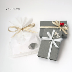 SUS316■ ロング＊チェーンタッセルピアス・イヤリング サージカルステンレス316　金属アレルギー対応 9枚目の画像