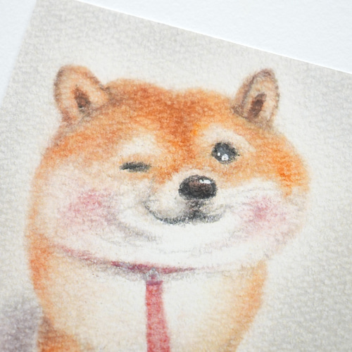 パステル画（原画）わんこ。