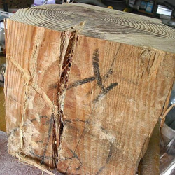 １月誕生木【松】木製名刺入れ  古材の節と木目が素晴らしい【即日発送】 8枚目の画像