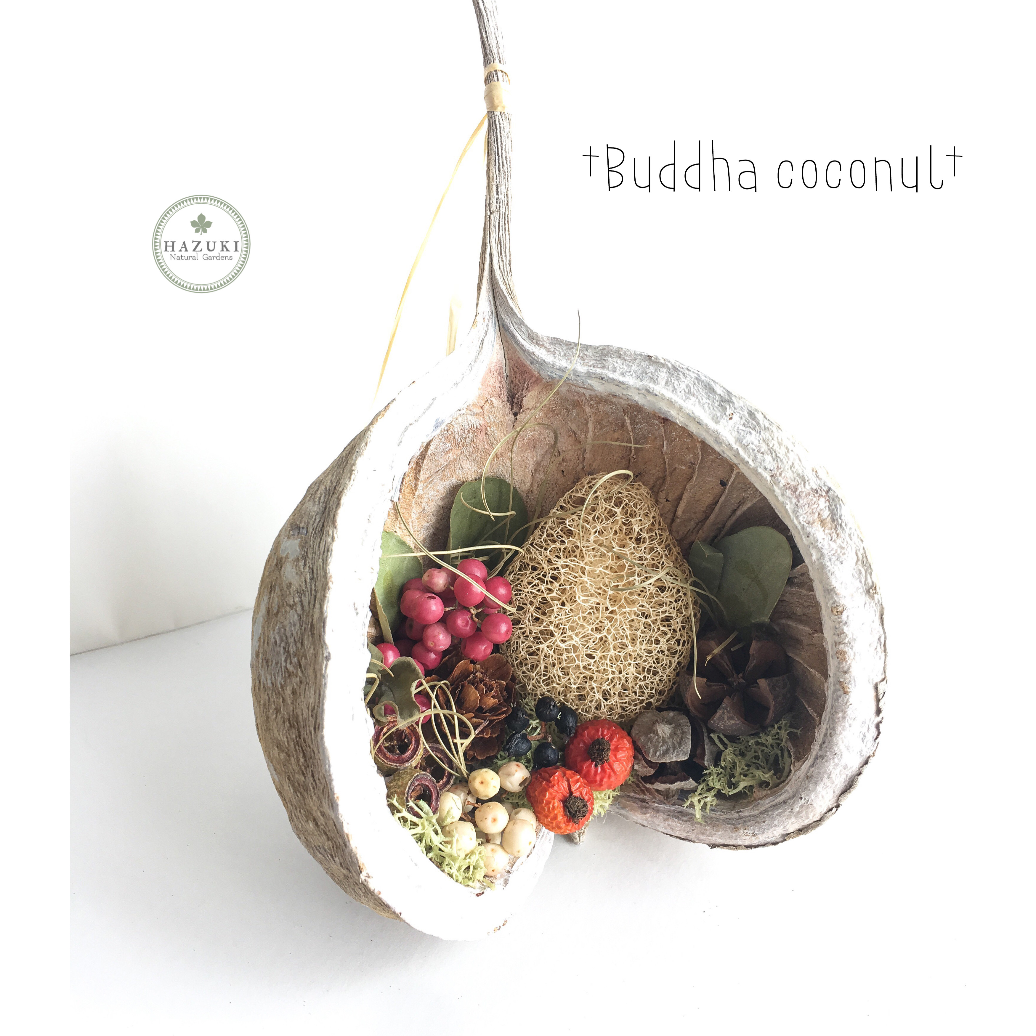 幸せを呼ぶ実【ブッダナッツ  】オーダー専用ページ 幸せを呼ぶ実 ブッダナッツ【オーダーページ】