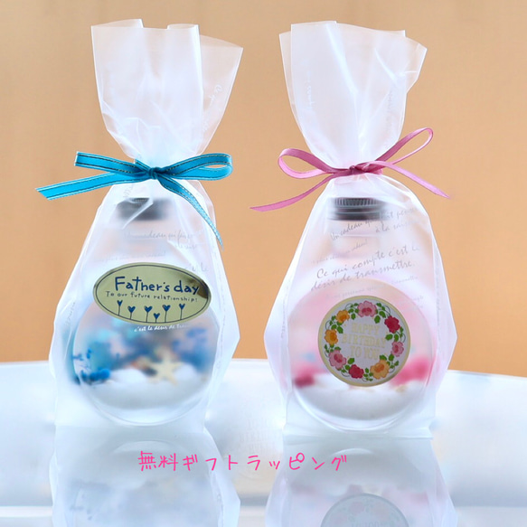 ちびまる熱帯魚のインテリアハーバリウム（無料ギフトラッピング） 12枚目の画像