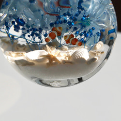 ちびまる熱帯魚のインテリアハーバリウム（無料ギフトラッピング） 8枚目の画像