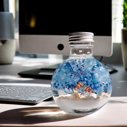 ちびまる熱帯魚のインテリアハーバリウム（無料ギフトラッピング） 4枚目の画像