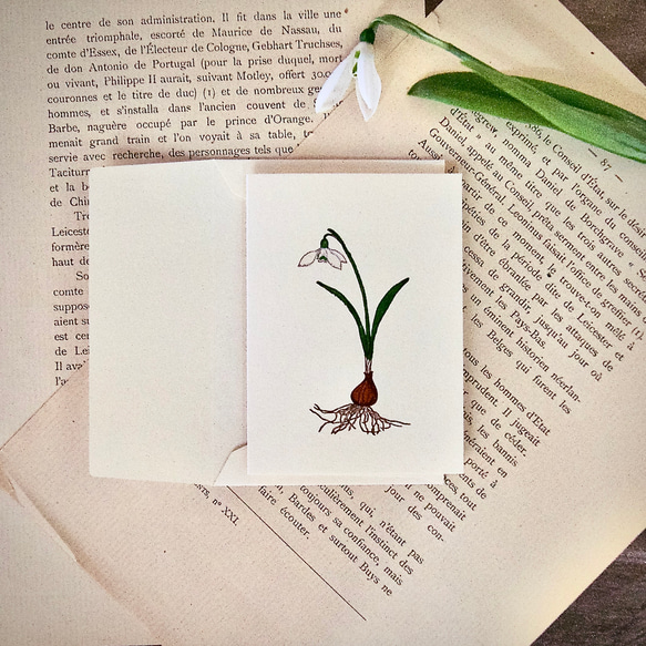 【小さい花のメッセージカード】スノードロップ/カード1枚+封筒1枚/活版印刷 2枚目の画像