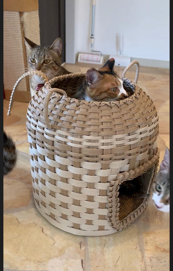 【受注製作】オリジナルにゃんちぐら♡上から下から楽しめる 持ち運び便利な猫耳 猫じゃらしにもなる尻尾がcute♡ 15枚目の画像