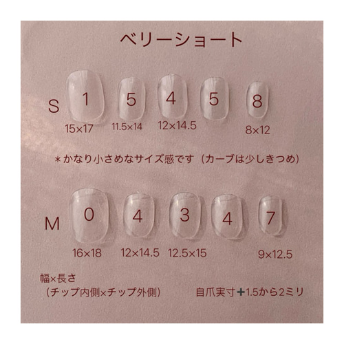 ネイルチップ 茄子紺×シャンパンギャラクシーネイル ラメホロシルバー