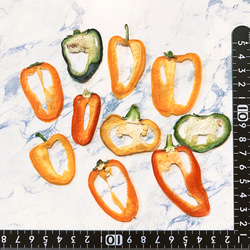 ミニパプリカ 10個 押し野菜 素材 押しフルーツ レジンアクセサリー アロマワックスバー ハーバリウム 1枚目の画像