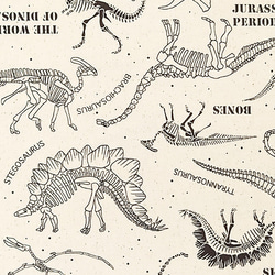 オックス 生地 布【50×110cm】恐竜 ダイナソー 化石 かっこいい 男の子 入園グッズ 13枚目の画像
