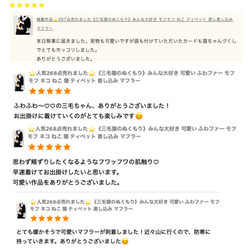 精選作品⭐️ 已售出277件《三色貓的溫暖》人人都愛毛茸茸的貓咪披肩圍巾 第8張的照片