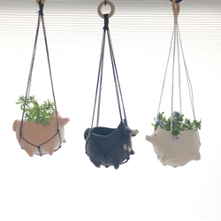 超レアー、超美品、スージークーパー、アールデコ調美しいウォーター