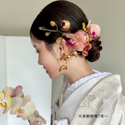  第6張的照片