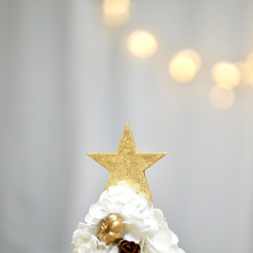 りんごのホワイトクリスマスツリー プリザーブドフラワー nozomi 通販