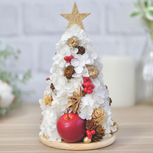 りんごのホワイトクリスマスツリー プリザーブドフラワー nozomi 通販|Creema(クリーマ) 8129109 りんごのホワイトクリスマスツリー プリザーブドフラワー nozomi 通販|Creema(クリーマ) 8129109