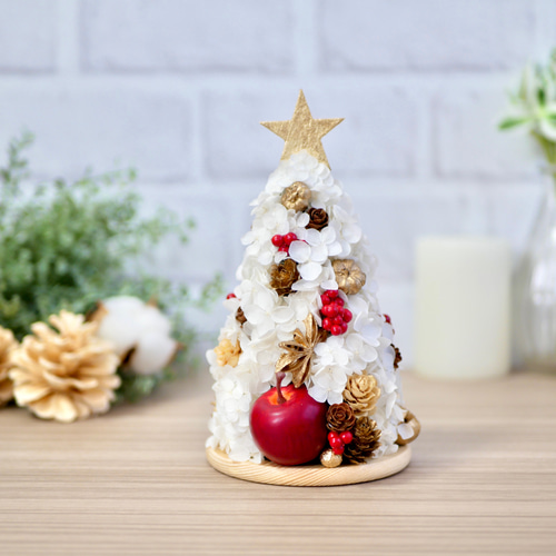 りんごのホワイトクリスマスツリー プリザーブドフラワー nozomi 通販|Creema(クリーマ) 8129109 りんごのホワイトクリスマスツリー プリザーブドフラワー nozomi 通販|Creema(クリーマ) 8129109