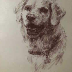 ペットの似顔絵 ペットポートレート dog-portraits オーダーメイド 犬似顔絵 パステル画 2枚目の画像