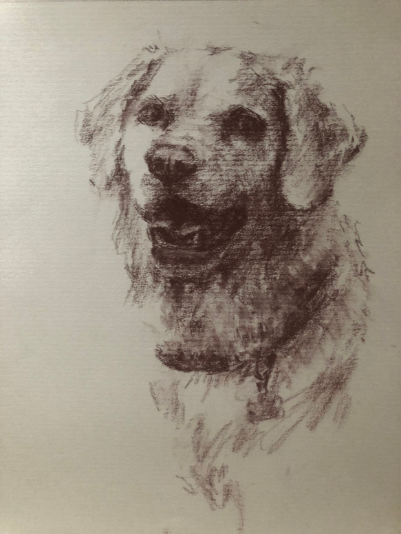 ペットの似顔絵 ペットポートレート dog-portraits オーダーメイド 犬似顔絵 パステル画 2枚目の画像