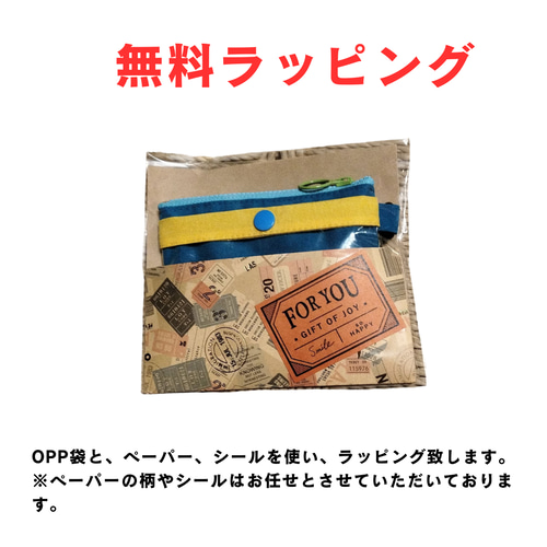 パスケース カードケース ポーチ ミニ財布 帆布 カラーオーダー 【受注