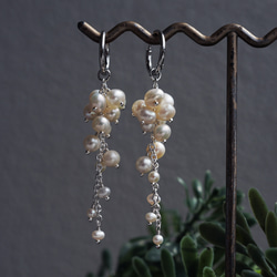 白色紫藤穿孔耳環，淡水珍珠，醫用不銹鋼，耳環可選 - 白色紫藤 第10張的照片