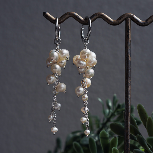 白色紫藤穿孔耳環，淡水珍珠，醫用不銹鋼，耳環可選 - 白色紫藤 第10張的照片