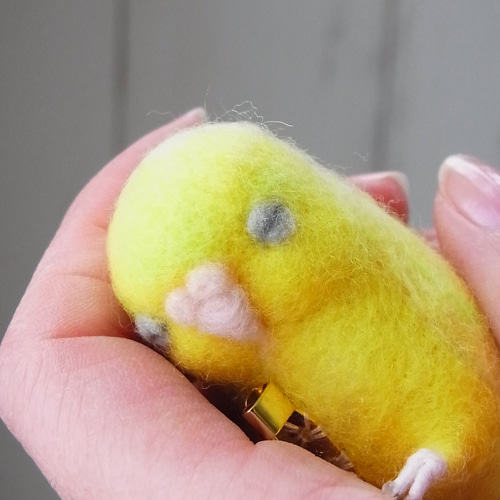 羊毛フェルトのインコ オーダーメイド | TanoMake(タノメイク