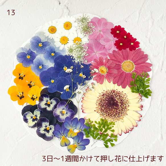 iphone6(5/5s・5c・4/4s)　押し花ケース【#183】(送料無料) 4枚目の画像