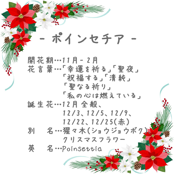 Poinsettia Coffret ~Pierce ver.~ (Tsumami work *Made to order) 第6張的照片