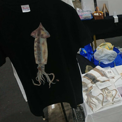 送料無料☆M～ＸＬサイズ☆生イカさんTシャツ☆海と釣りといか烏賊が大好きなあなたに！日本画リアルな写生のＴシャツ☆ 9枚目の画像