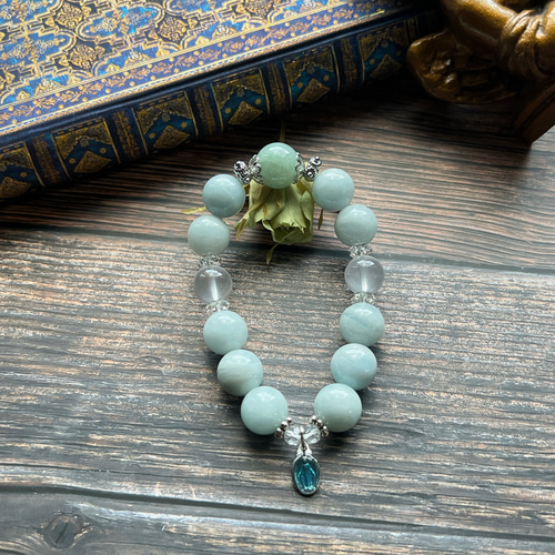 （親株出品）チタノタ　翡翠アクアマリン Yahoo!オークション - Agave Titanota Variegated Jade Aquamarine. チ