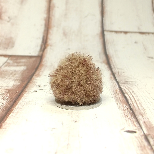 受注制作☆丸くてコロコロ➰➰小さな小さなハリネズミちゃん☆モカ 4枚目の画像